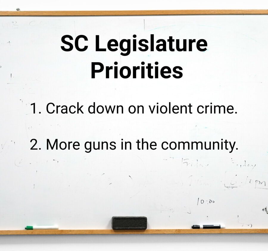Gun Laws Of South Carolina – South Carolina Gun Laws: What You Need to ...